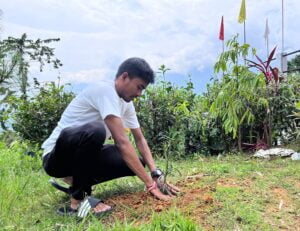 Tree Plantation HELP SOCIETY (NGO) Haflong