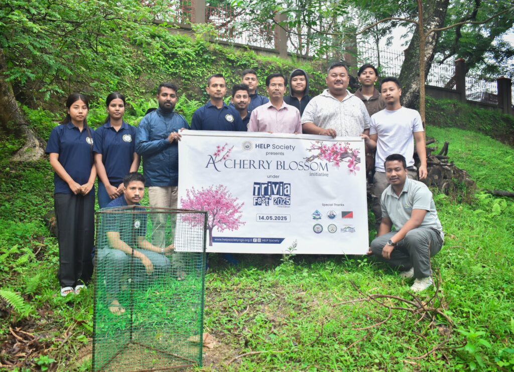 Cherry Blossom Plantation Drive_Trivia Fest 2025 by HELP Society Haflong