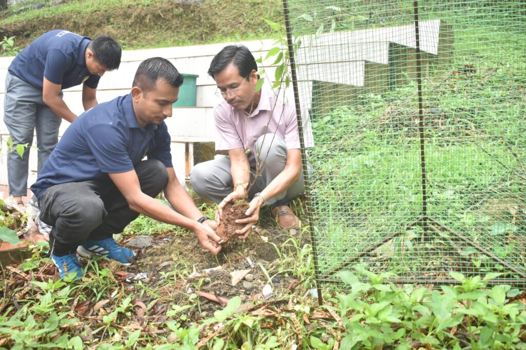 Cherry Blossom Plantation Drive_Trivia Fest 2025 by HELP Society