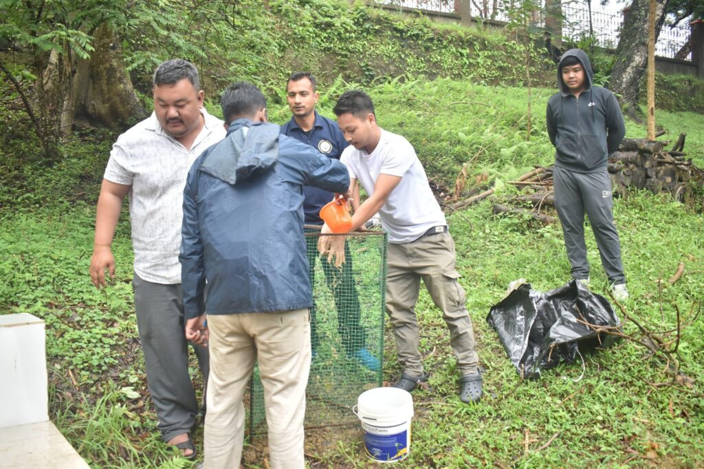 Cherry Blossom Plantation Drive_Trivia Fest 2025 by HELP Society Haflong